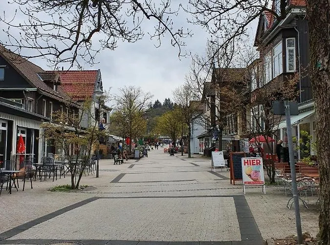 Am Bocksberg Daire *